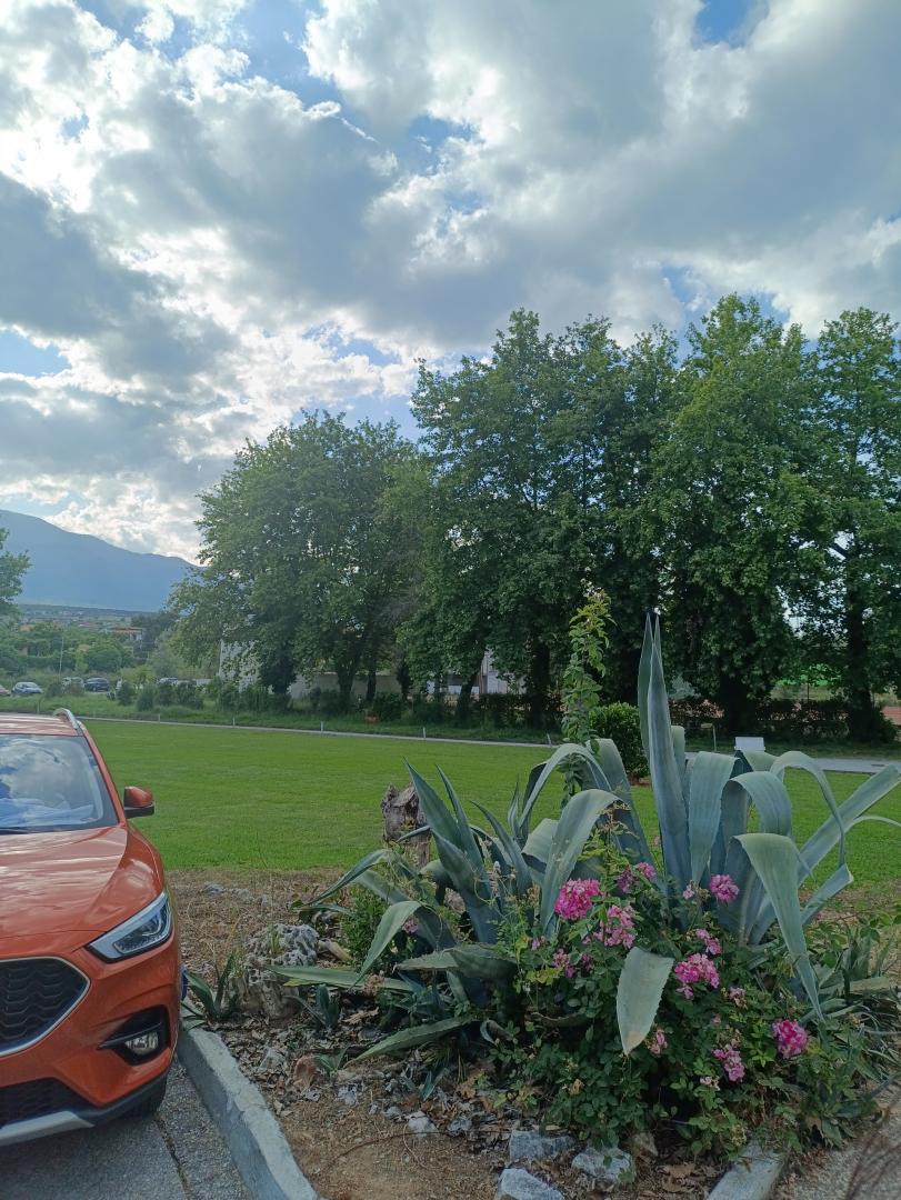 Cumpara/ Vinde online MG ZS 2024 SH, la cel mai bun pret pentru tine!