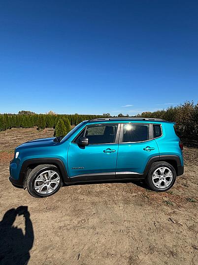 Cumpără / Vinde Jeep Renegade 2019 SH, la cel mai bun pret pentru tine!
