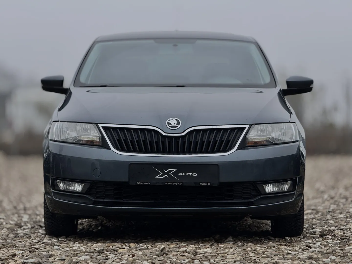 Cumpara/ Vinde online Skoda Rapid 2018 SH, la cel mai bun pret pentru tine!
