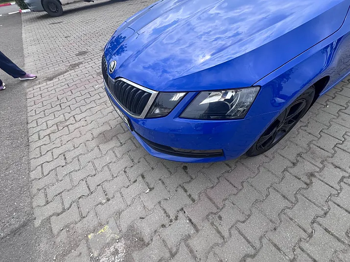 Cumpără / Vinde Skoda Octavia 2019 SH, la cel mai bun pret pentru tine!