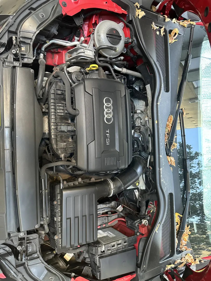 Cumpara/ Vinde online Audi TT 2016 SH, la cel mai bun pret pentru tine!