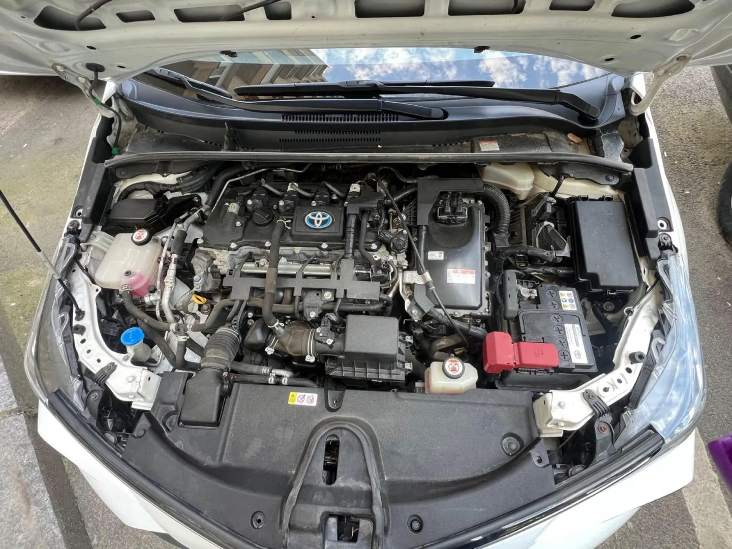 Cumpara/ Vinde online Toyota Corolla 2021 SH, la cel mai bun pret pentru tine!