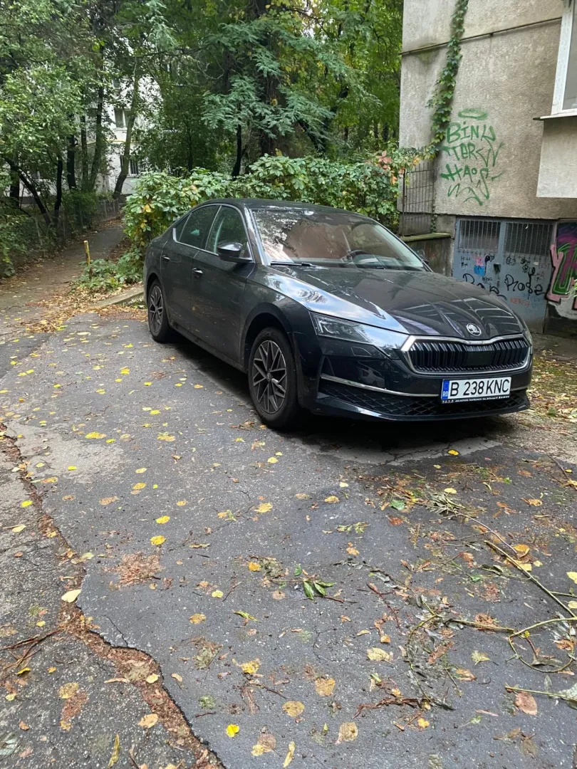 Cumpara/ Vinde online Skoda Octavia 2024 SH, la cel mai bun pret pentru tine!